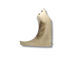 крыло переднее левое Renault Grand Scenic 3 поколение 2011, 1.5 л., DCi, K9K 837, дизель, робот, beige poivre / ted11, минивэн, передний привод, правый руль, 631010188R