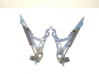 петля капота Volvo V70 2 поколение [рестайлинг] 2006, 2.4 л., D, D 5244 T4, дизель, 6МКПП, голубой, универсал, передний привод, правый руль