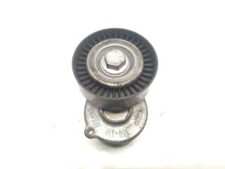 механизм натяжения ремня, цепи Volkswagen Polo 4 поколение 2004, 1.9 л., TDi PD, ATD, дизель, 5МКПП, зелёный, хетчбэк 5 дв., передний привод, правый руль, 950330