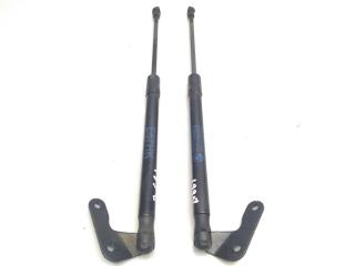 амортизатор крышки багажника (3-5 двери) BMW 1 серия E81/E87 [рестайлинг] E87 2008, 2.0 л., D, N47 D20 A, дизель, 6МКПП, titansilber / 354, хетчбэк 5 дв., задний привод, правый руль, 51247060622