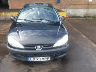 Peugeot 206 1 поколение