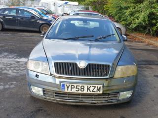 Skoda Octavia 2 поколение (A5) [рестайлинг] 1Z