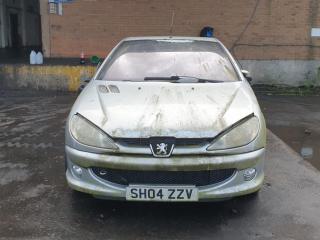 Peugeot 206 1 поколение [рестайлинг]