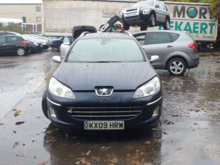 Peugeot 407 1 поколение [рестайлинг]