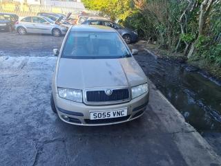 Skoda Fabia 1 поколение [рестайлинг] 6Y