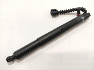 амортизатор капота Rivian R1T 1 поколение 2022, PT00002386-F