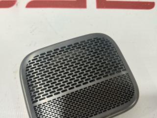 Накладка динамика (сетка) Rivian R1T 1 поколение 2022, PT00013659