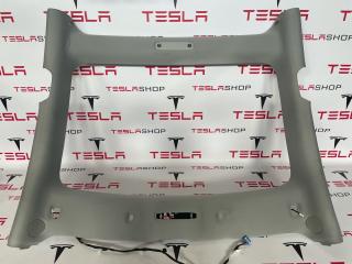 потолок Tesla Model 3 1 поколение 2020, 1101060-01-J