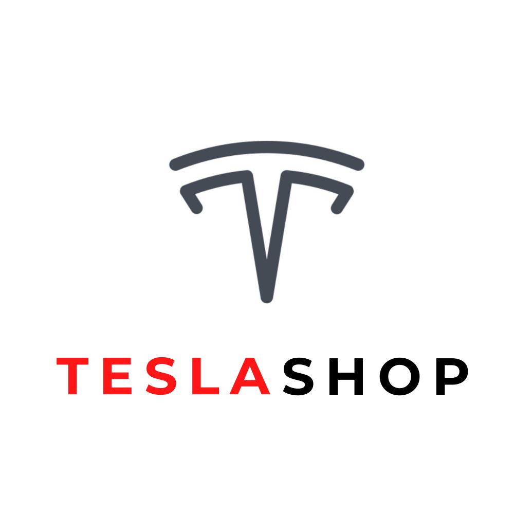 кузов Tesla Model 3 1 поколение 2019, 1131061-00-A - фото №1