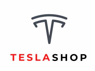 кузов Tesla Model 3 1 поколение 2019, 1131061-00-A