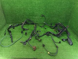 проводка двигателя Mercedes-Benz C-Класс W204/S204 W204.008 2008, 2.2 л., CDi, OM 646.811, дизель, АКПП, седан, задний привод, правый руль, A6461503456