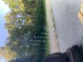 Стекло панорамной крыши BMW 7 серия G11/G12 2018, 3.0 л., дизель, АКПП, седан, задний привод, правый руль - фото №3