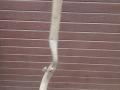 глушитель BMW X2 F39 2018, 2.0 л., дизель, АКПП, misano-blau metallic, внедорожник 5 дв., полный привод, правый руль, 8587909 - фото №11