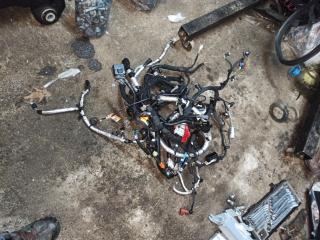 проводка двигателя Ford Edge 2 поколение CD539 [рестайлинг] 2022, 2.7 л., бензин, АКПП, черный, внедорожник 5 дв.