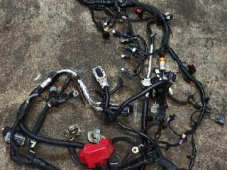 проводка двигателя Ford Explorer 5 поколение U502 [2-й рестайлинг] 2018, 3.5 л., бензин, АКПП, черный, внедорожник 5 дв.