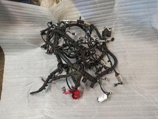 проводка двигателя Ford Edge 2 поколение CD539 [рестайлинг] 2019, 2.0 л., бензин, АКПП, черный, внедорожник 5 дв.