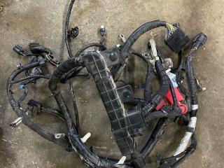 проводка двигателя Ford Edge 2 поколение CD539 [рестайлинг] 2020, 2.0 л., бензин, АКПП, черный, внедорожник 5 дв.