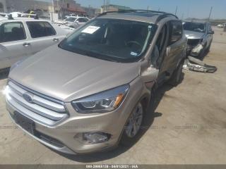 Ford Escape 3 поколение C520 [рестайлинг]