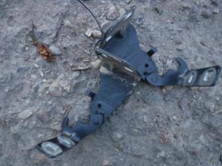 петля капота Opel Vivaro A [рестайлинг] 2008, 2.5 л., CDTi, дизель, МКПП, микроавтобус