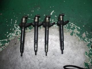 форсунка Peugeot Boxer 1 поколение [рестайлинг] 2006, 2.2 л., HDi, дизель, МКПП, микроавтобус, DH611657, 423029DH