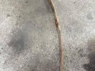 рессора IVECO Daily 2 поколение 1999, 500389151