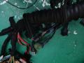 проводка Audi A4 B5 1996, 2.4 л., бензин, ALF - фото №4