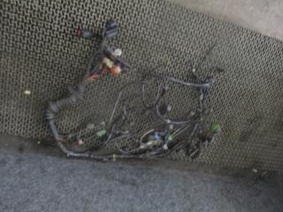 проводка Audi A6 4B/C5 1999, 2.4 л., бензин, МКПП, универсал