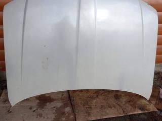 капот Lincoln Navigator 2 поколение 2006, 5.4 л., бензин, АКПП, полный привод, 2L7Z16612AA