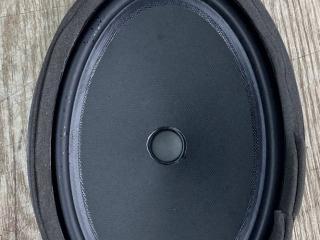 динамик двери Chevrolet Equinox 3 поколение 2018, 1.5 л., бензин, 84156556