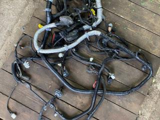 проводка двигателя Ford Mustang 6 поколение S550 2017, 5.0 л., бензин, АКПП, GR3T14290G281T, GR3T14290