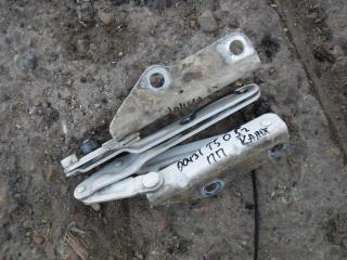 петля капота Volkswagen Transporter T5 2004, 1.9 л., TDi, дизель, МКПП, микроавтобус