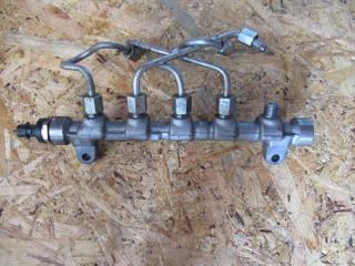 топливная рампа Hyundai i20 1 поколение 2010, 1.6 л., CRDi, дизель, МКПП, хетчбэк 5 дв., 0445214181, 0281002863