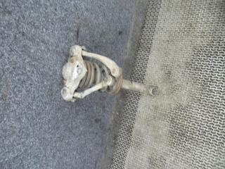 стойка передняя левая Audi A4 B5 1998, 1.8 л., Ti, бензин, МКПП, универсал