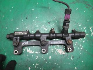 топливная рампа Kia Carnival UP/GQ 1999, 2.9 л., CRDi, дизель, МКПП, минивэн, 315004X500