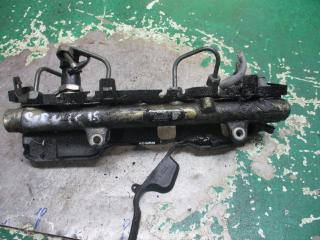 топливная рампа Renault Scenic 1 поколение 1999, 1.9 л., DCi, дизель, 0281002719, 8200396999