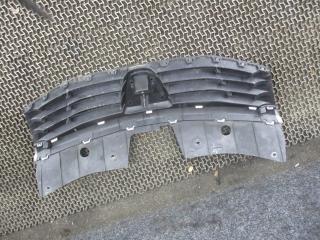 решетка радиатора Dacia Sandero 1 поколение 2009, 1.6 л., бензин, МКПП, хетчбэк 5 дв.