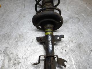 стойка передняя левая Renault Clio 2 поколение [2-й рестайлинг] 2006, 1.2 л., бензин, МКПП, хетчбэк 5 дв.