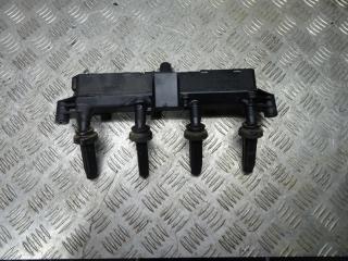 катушка зажигания Peugeot 206 1 поколение [2-й рестайлинг] 2010, 1.4 л., бензин, МКПП, хетчбэк 5 дв.