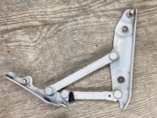 петля крышки багажника Infiniti M Y51 2013, 3.7 л., VQ37VHR, бензин, АКПП, (qaa) white 3p, седан, задний привод