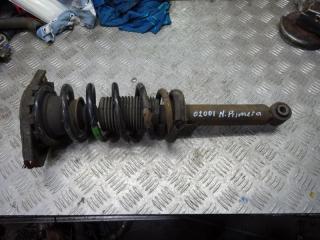 стойка задняя Nissan Primera P12 2003, 2.2 л., дизель, МКПП, седан