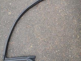 уплотнитель двери Ford Mustang 6 поколение S550 2017, 5.0 л., бензин, 6МКПП, синий