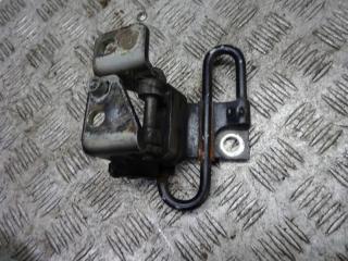 петля двери Volkswagen Golf 4 поколение 2004, 1.4 л., бензин, МКПП, хетчбэк 5 дв., 1K0831412J