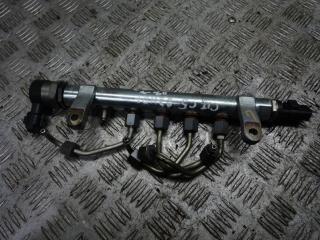 топливная рампа Citroen C5 2 поколение 2009, 2.0 л., 0281002803