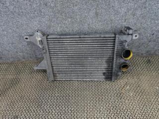 интеркулер Mercedes-Benz Vario W670 2005, 4.2 л., дизель, A6685000500