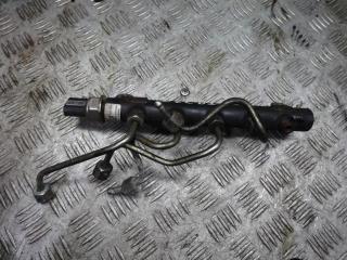 топливная рампа Opel Antara 1 поколение [рестайлинг] 2012, 2.2 л., дизель, 96868901, 9307Z528A