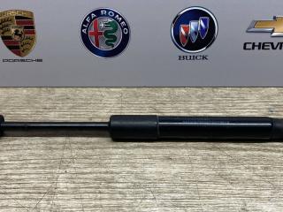 амортизатор капота Alfa Romeo Stelvio 1 поколение 2018, 2.9 л., бензин, 00505354500