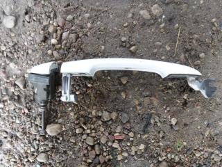 ручка наружная Renault Laguna 1 поколение [рестайлинг] 2001, 820002878384