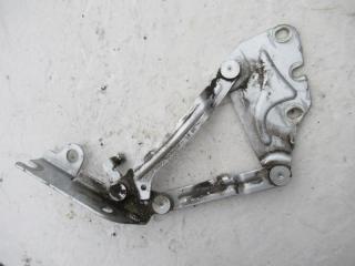 петля капота Volkswagen Golf Plus 1 поколение 2006, 1.9 л., дизель, МКПП, хетчбэк 5 дв., 5M0823301