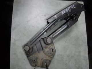 петля капота Volkswagen Touran 1 поколение 2004, 1T0823302, 1T0823301