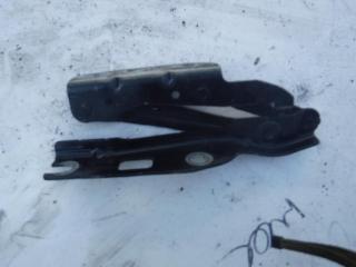 петля капота Volkswagen Eos 1 поколение 2008, 1Q0823301